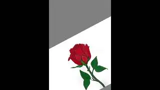 🌹 Red Rose Digital Art | Satisfying Aesthetic Drawing Video | MUST WATCH!