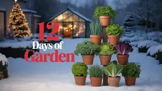 Scary Soil Girl's First Fall Garden | What Survived