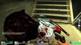 left4dead 2013 12 07 07