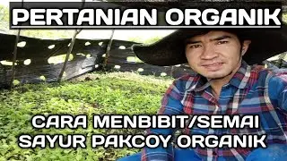 PERTANIAN ORGANIK