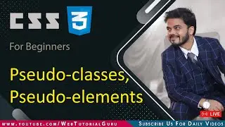 🔴 16. CSS Pseudo-classes, CSS Pseudo-elements, :first-child, :nth-child, :checked, :focus #htmlcss