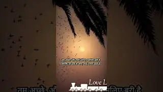 कोई दीवार खड़ी है 🧱 #shorts #shortvideo #shayari #deep #love #urdupoetry #viral #lovely #understand