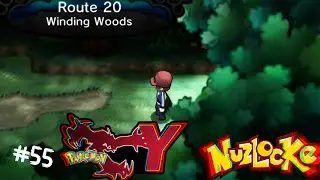 Serching for Wulfric The Gym Leader through the Winding Woods, Pok&eacute;mon Y Nuzlocke 55