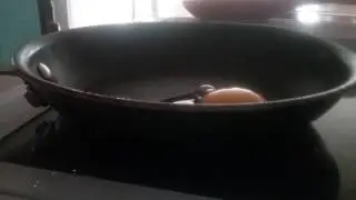 Hatchimal  fake LOL
