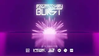 17. Duplicate Feelings - Hubz [Preliminary Burst]