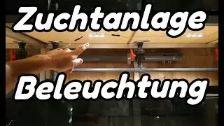 Zuchtanlage - Beleuchtung (#3)