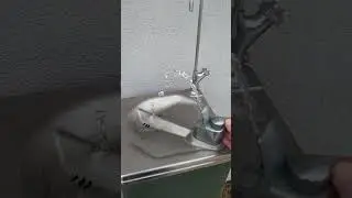 Backyard Drinking Fountain