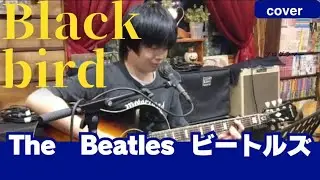 Black bird       The Beatles　ビートルズ