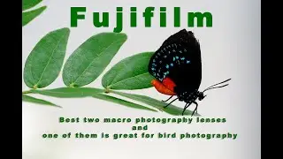 Fujifilm best two macro lenses