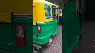 Bajaj maxima z