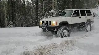 Jeeps playing in snow