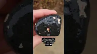 Using a tile saw to cut open rocks we find along Lake Michigan 👀 #lapidary #rockcutting #rockhound