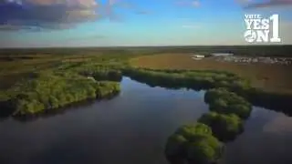 Florida Water and Land Legacy - Amendment 01