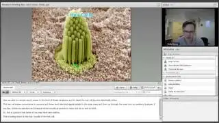Unlocking the Potential for Hair Cell Regeneration - Nov 2015 Webinar