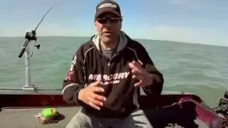 Fishing Tip - Flicker Rig Setup with Berkley GULP S10E05