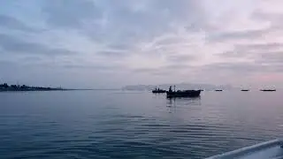 Deep Blue Sea of Gwadar, Dolphins