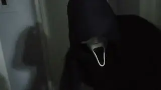 Ghostface & Michael Myers: Understanding