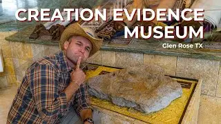 🦕🤯 This Museum Claims Dinosaurs Met People!