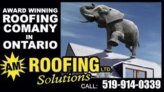 BEST ROOFING COMPANY roof repair replacement insulation soffit fascia siding EXETER Ontario