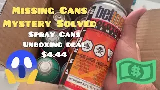 Mystery Spray Paint Unboxing $4 Dollars (Missing Cans Edition) Belton Molotow Dang Prime