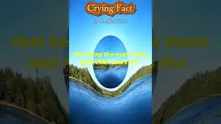 Different types of tears have been identified &hellip;&hellip;. #shorts #viral #cryingfact
