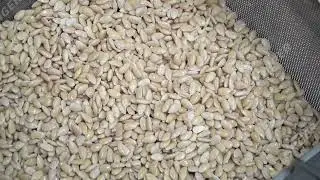 How to make almond milk