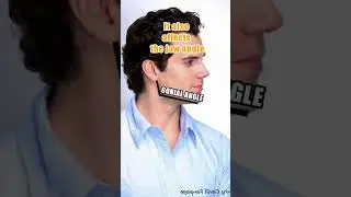 Значение ветви для привлекательности (blackpill) #blackpill #lookmaxxing #mewing