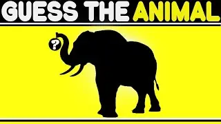 🐾 Guess the Animal by Shadow 🧠 | Educational Kids Brain Quiz Game