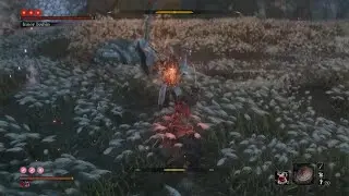 Sekiro: Inner Isshin (Kuro's charm,NG+7) No Damage