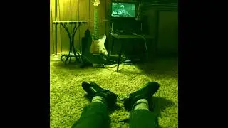 Party - Fried by Fluoride (sped up)
