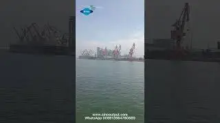 Sea port/Sinooutput
