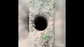 cement pole installation