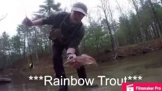 LUNKER TROUT ON 2LB TEST!!!