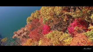 紅葉　【 下若生子林道 】　4K空撮