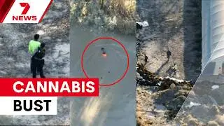 Drone tracks suspects fleeing massive cannabis grow house operation | 7NEWS