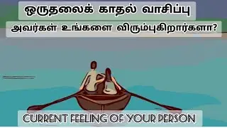 one sided love reading,current feeling of your person💫🌟🥵🥹💗🤔🥴🤗😶&zwj;🌫️#nocontactreading#tamiltarotreading