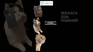 Как миллионы стали реальностью 🐱💻 #хакатон #мемы #itюмор