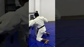 Kaitenage (Katatetori) #aikido #aikidotraining #aikidoaikikai #aikidolife