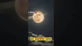 MISS YOU SO MUCH MOM, MOON OF MY LIFE❤️#moon #mom #maa #moonlight #love #lovemusic #mommy #dear
