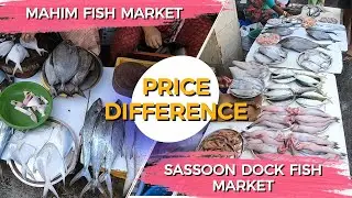 Price difference of Sassoon Dock Fish Market VS Mahim fish market | #fishmarket #price #marathivlogs