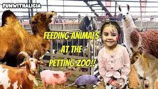 Feeding Animals at the Petting Zoo | Camels, Llamas, Alpacas, & more!!