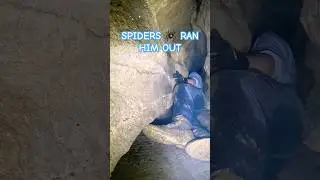 FRANTIC FREAK OUT FROM SPIDER CHASING HIM IN A HOLE! 