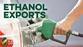 US Grains Council   Ethanol Exports Update 2 21