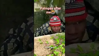 Palmpay loan| Palmpay agent #palmpay #loan #loanapp  #palmpayagent