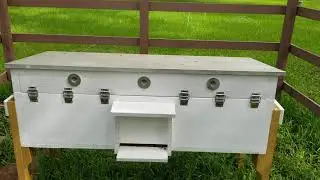 Deer and Bees