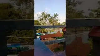 Monkey Turns Into A Rope Acrobat In Seconds | Monkey Banana | Leelu Vibes #funnymonkey #monkey