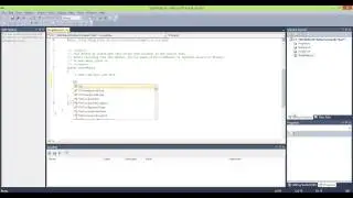 Script Task to display a message into a SSIS project