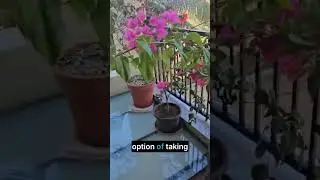 Спокойное место для отдыха на открытом воздухе!!