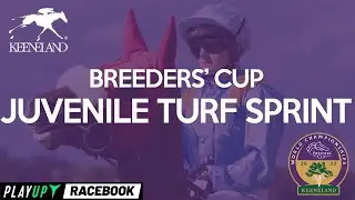BREEDERS CUP JUVENILE TURF SPRINT LIVE REACTION, REPLAY & ANALYSIS | TRUST THE PROPHETS