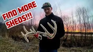 Top Shed Hunting Tips - FIND MORE SHED ANTLERS
